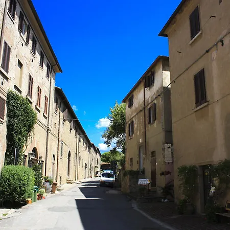 Il Chiassetto Bolgheri-3